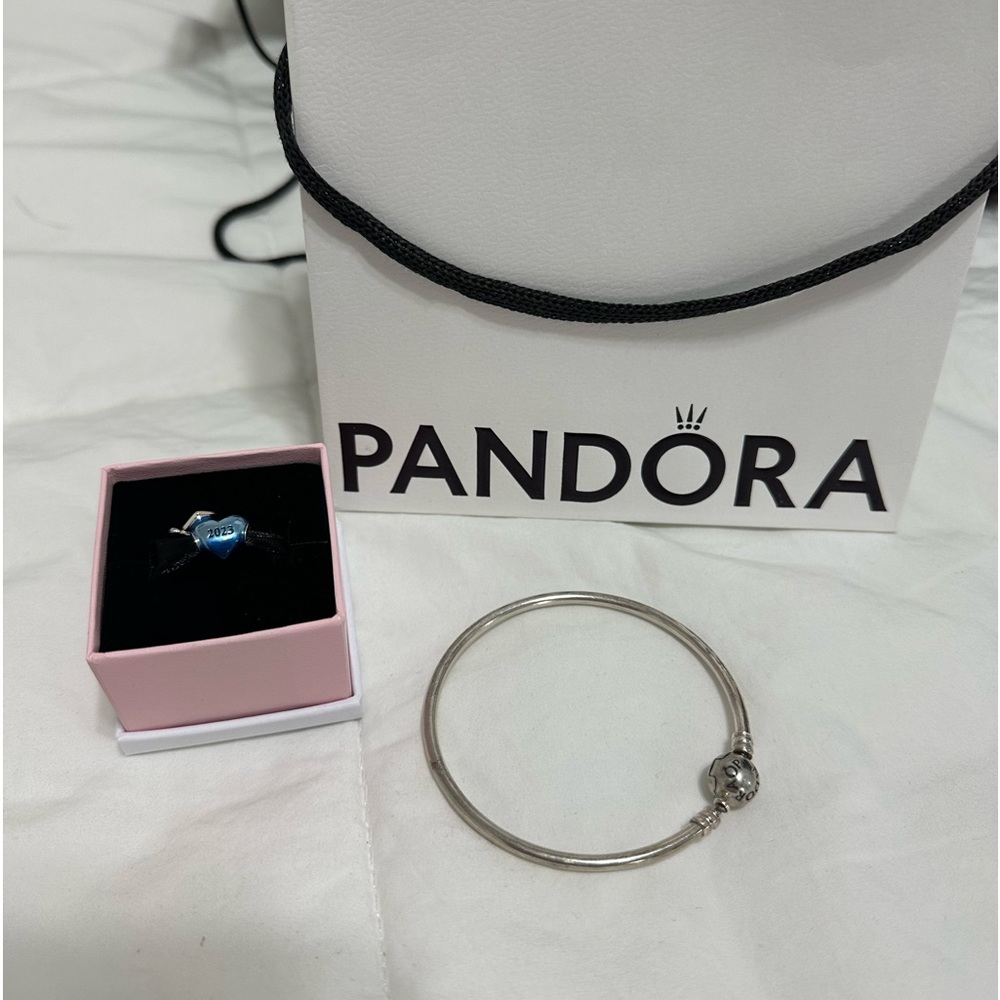 pandora bracelet and 2023 charm